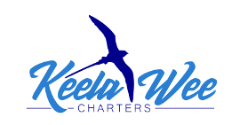 Click to enter Charter's Website